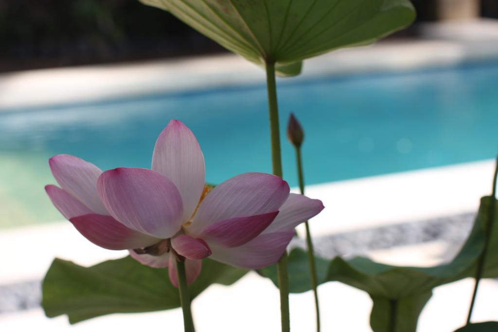 Villa Alu Lima Seminyak Habitación foto